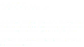 Welcome Thanks for visiting our site. Steven Boyd Photography offers image capture to post processing services in Forest, Virginia. The love of photography shows in every image captured. 